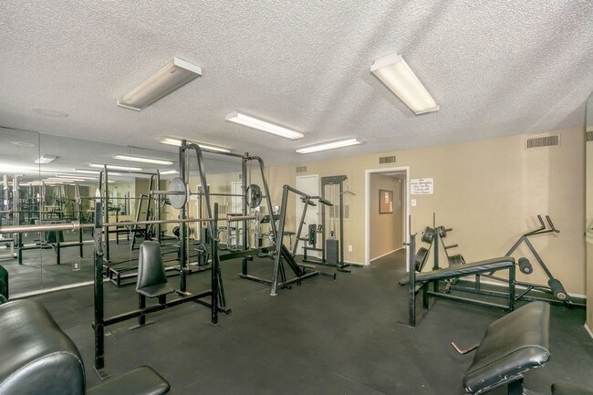 furnished apartments in dallas tx alleghany trees