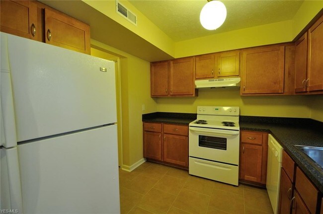 Foto del edificio - 507 Forsythia Ln