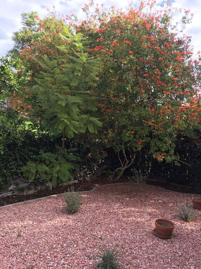 Foto del edificio - 4BD 2.5BA House located in Vineland Hills of Poway