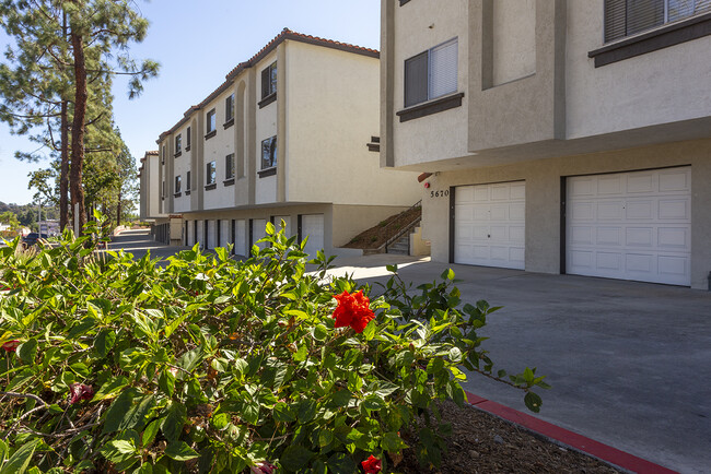 Building Photo - Jackson 23 Apartments