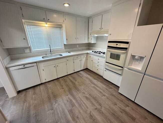 Foto del edificio - Renovated in 2023!! 4BD/2BA; Quick Walk to Campus (Lease out, pending signatures. Check back in a...