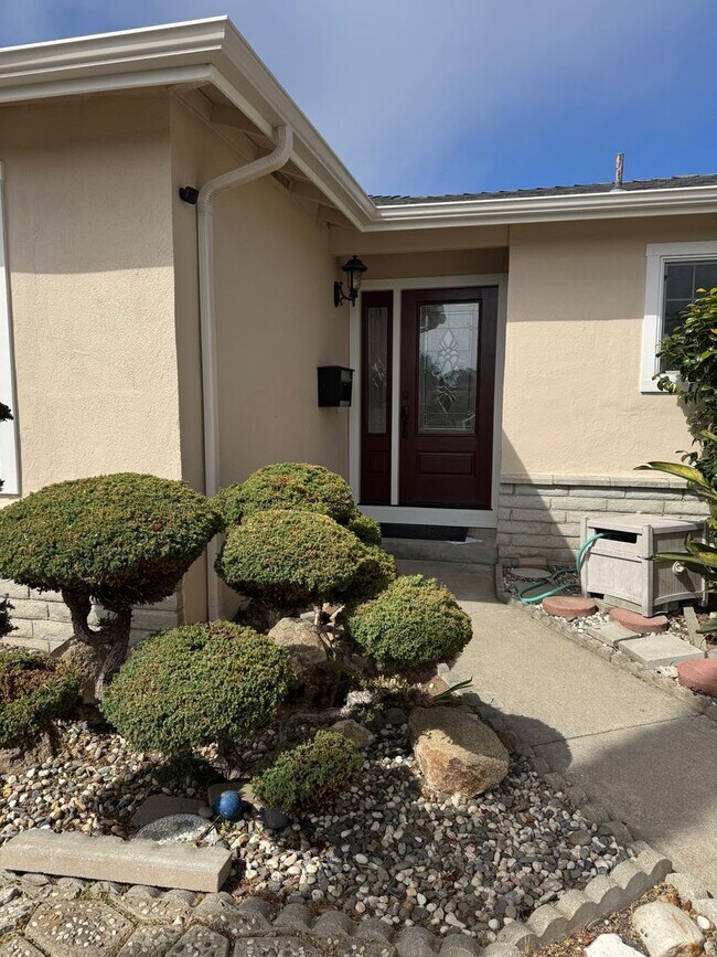 Building Photo - Beautiful Large Three Bedroom on Marina Av...