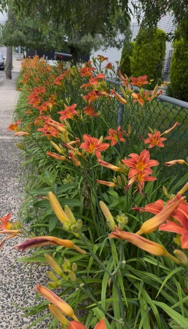 Foto del edificio - 7 White Plains Ave