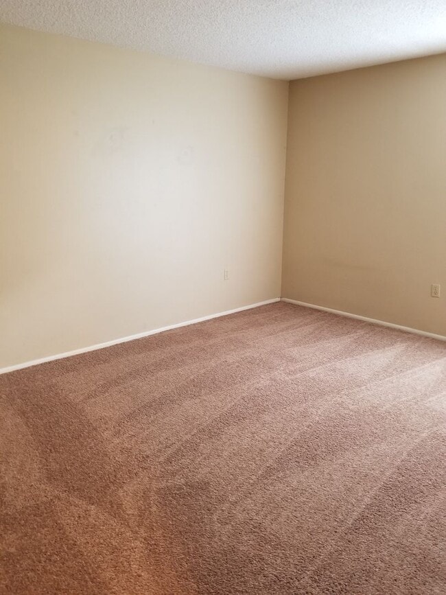 Building Photo - 14213 Shadow Moss Ln