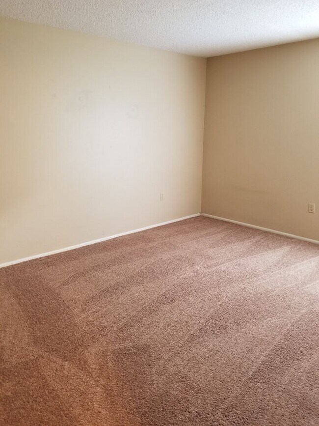 Photo - CONDO NEAR USF!