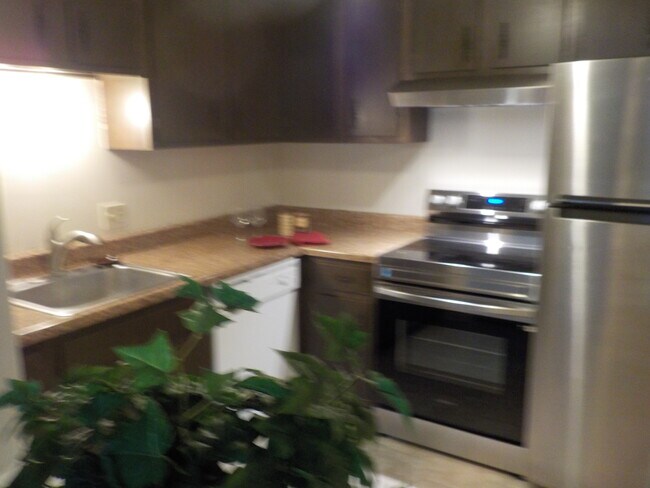Cocina - 2109 Cedar Run Dr