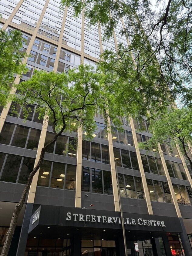 Foto principal - 233 E Erie St