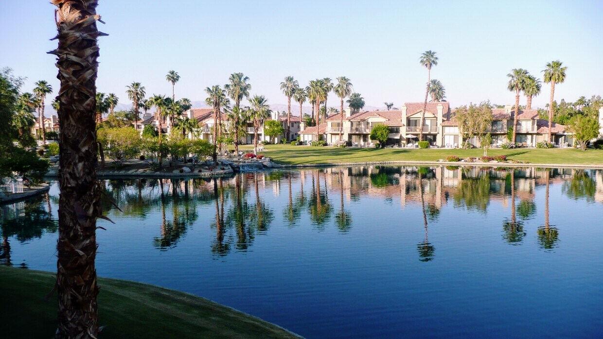 view from back patio - 55456 Firestone