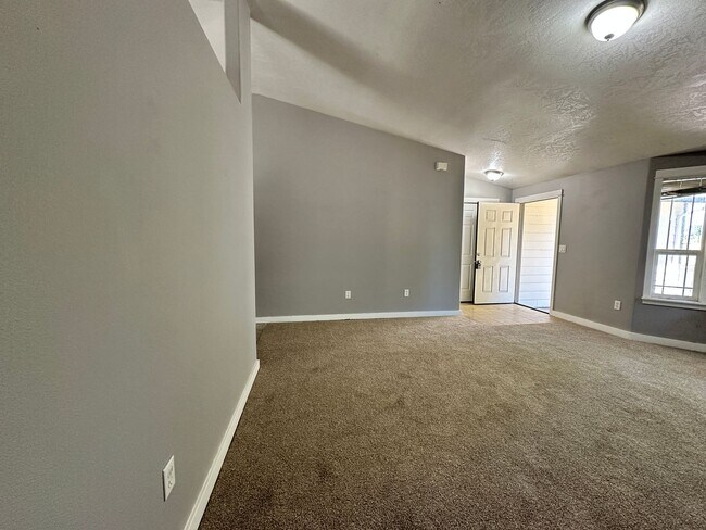 Foto del edificio - New Carpet