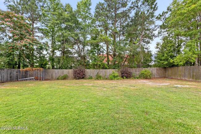 Building Photo - 10027 Burning Bush Ridge Ct
