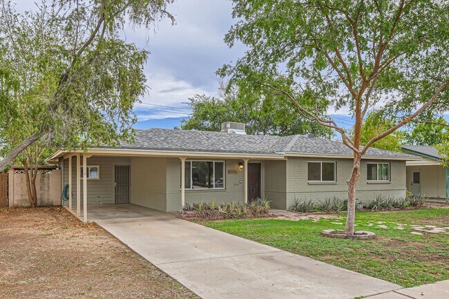 Foto del edificio - Great 3 bedroom house in Biltmore! Large y...