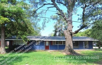 Building Photo - 501 Mt Sylvan St