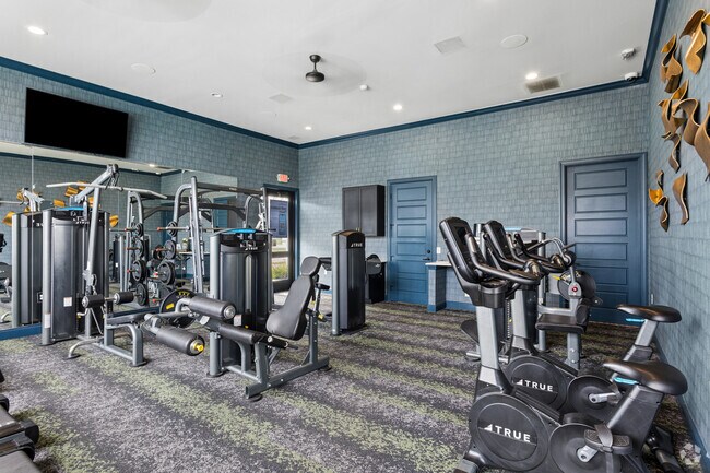 Gimnasio - Sheldon Park