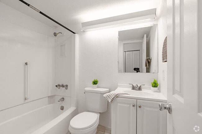 Estudio, 1BA - 325SF - The Oasis by RAM Apartments