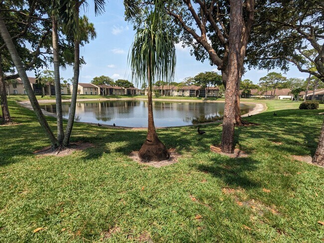 Foto del edificio - 711 Sunny Pine Way