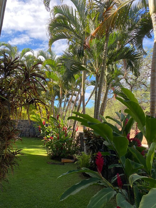 Building Photo - Tropical oasis