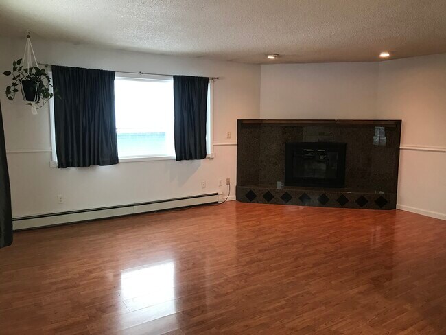 Fireplace - 9381 Campbell Terrace Dr