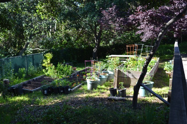 Foto del edificio - Sausal Gardens