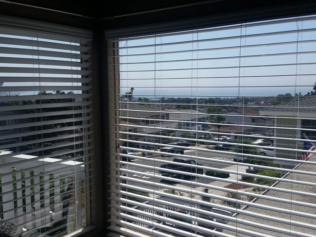 Front Living and Dining picture windows - 33771 Street of the Violet Lantern