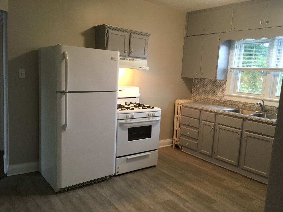 Remodeled kitchen with new vinyl flooring - 807 S McAlister Ave