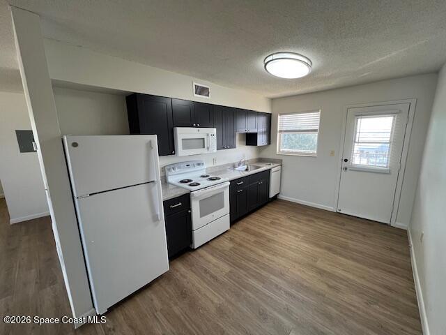 Foto del edificio - 442 Magnolia Ave