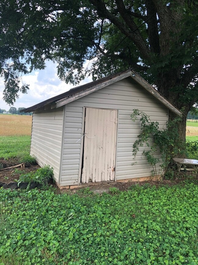 Building Photo - 3 Bedroom Country Home in Toney!