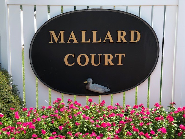 Foto del edificio - Mallard Court