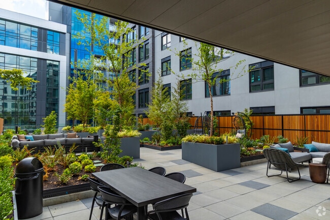 Descansa - The Miller