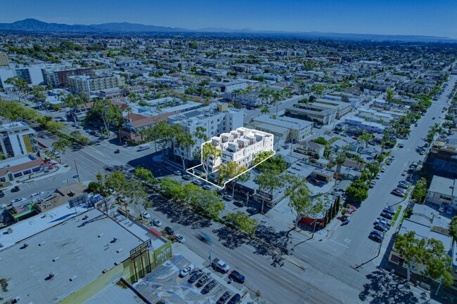 Interior Photo - The Evelyn Townhomes: Luxe Living in the H...