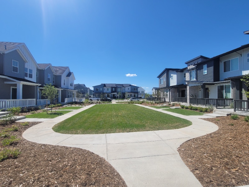 5430 Euclid Dr, Timnath, CO 80547 Townhome Rentals in Timnath CO