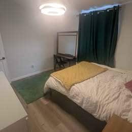 Building Photo - 2851 Rolling Hills Dr