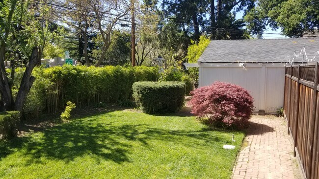 Private Yard - 1251 Bryant St