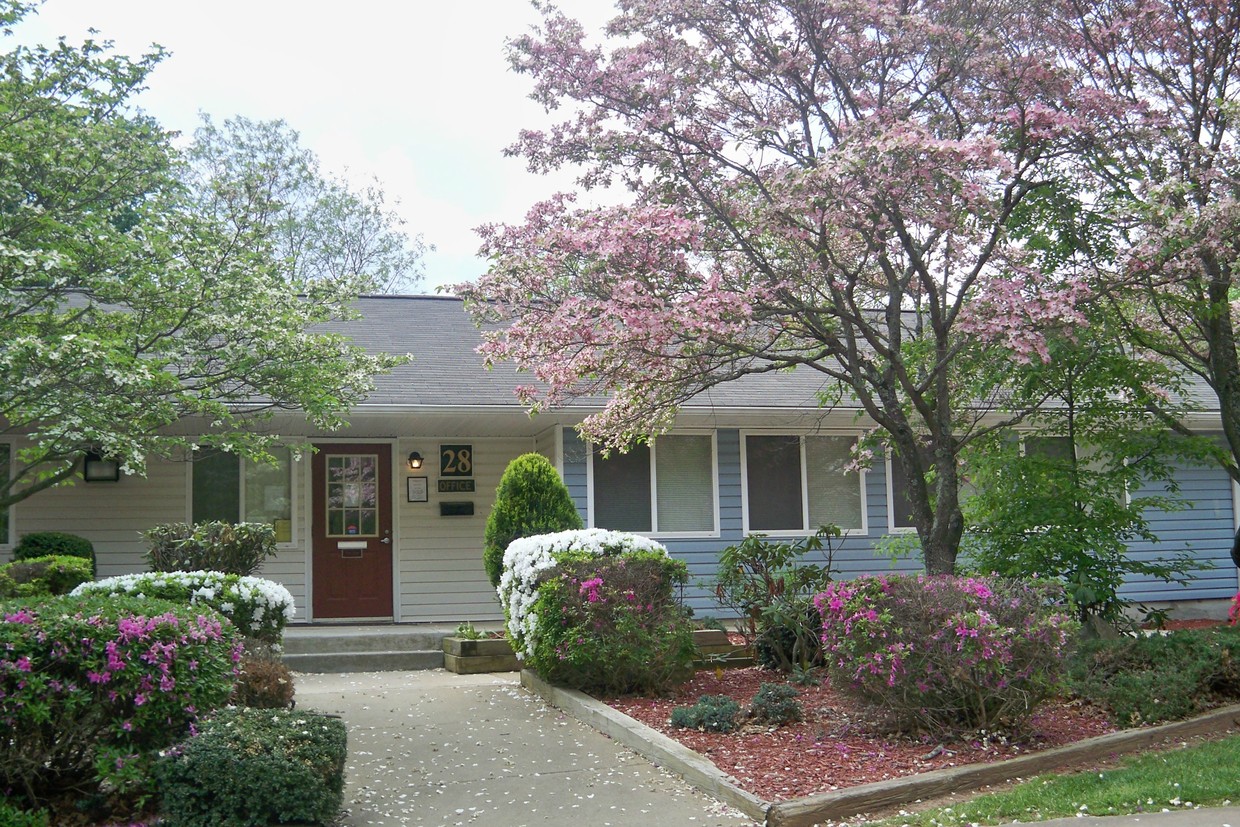 Primary Photo - Ledgewood Village