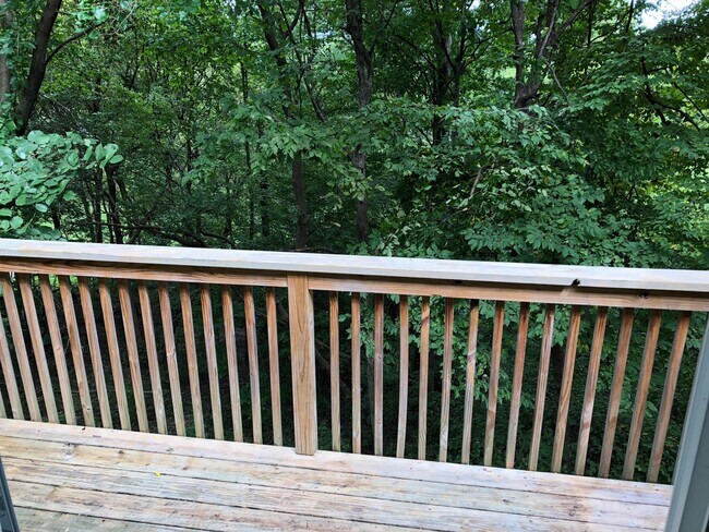Private deck - 1429 Edgewood Rd NW