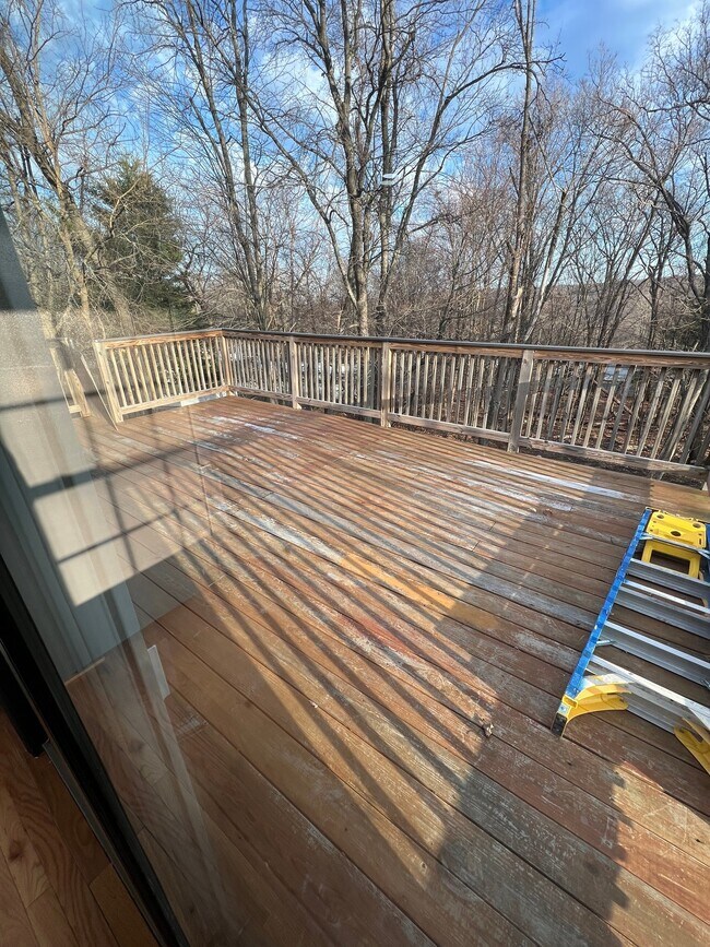 Building Photo - 13 Maple Ln