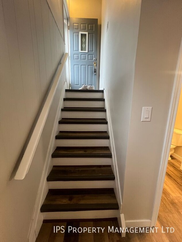 Primary Photo - Basement - 2 Bed | 1 Bath - Newly Renovate...
