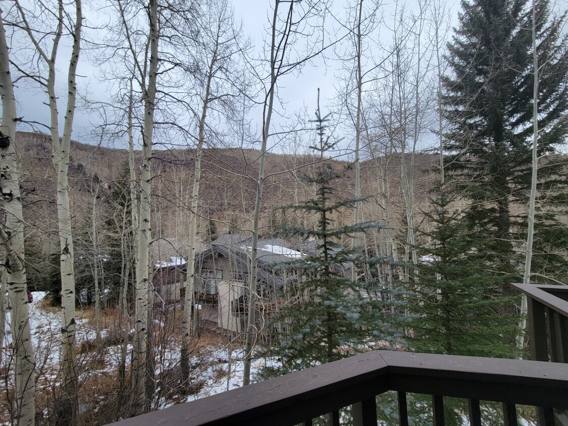 2821 Basingdale Blvd Unit 4, Vail, CO 81657 Condo for Rent in Vail