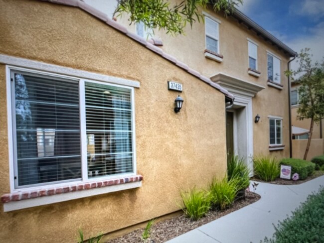 Building Photo - 37435 Paseo Tulipa