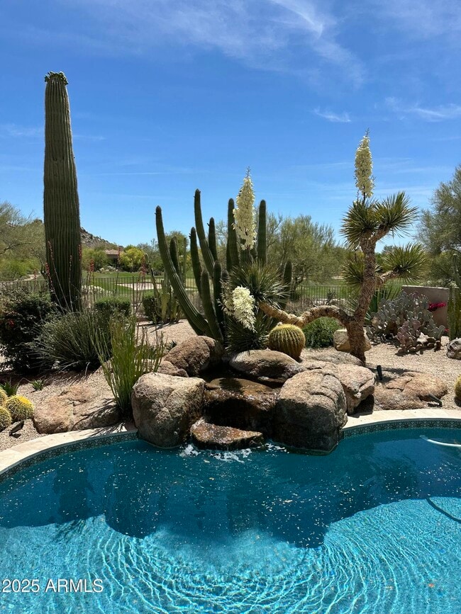 Building Photo - 7485 E Tumbleweed Dr