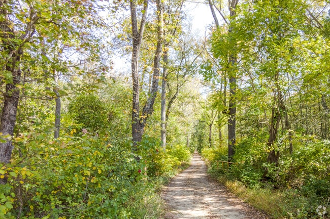 Residents explore the wooded trails in Glassboro Park.