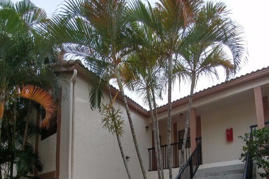 Primary Photo - 12246 Royal Palm Blvd