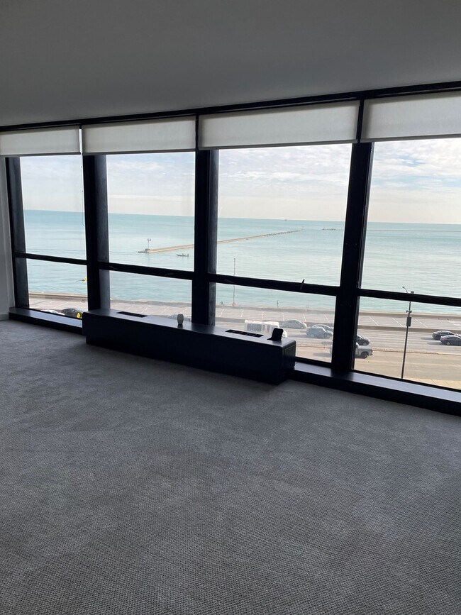 Building Photo - 910 N Lake Shore Dr