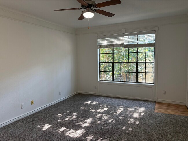 Vista de los árboles desde la sala de estar del complejo de apartamentos. - 2700 Revere St