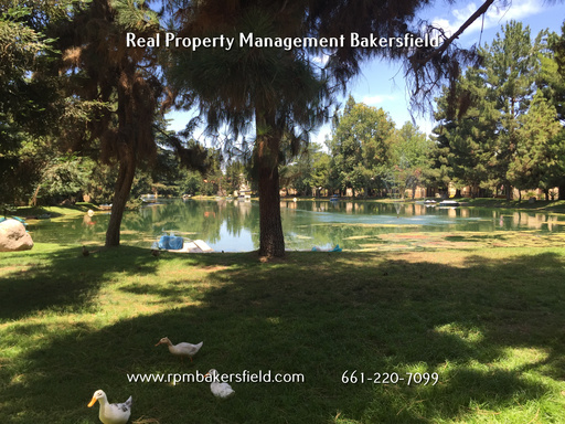 Building Photo - 4107 Pinewood Lake Dr