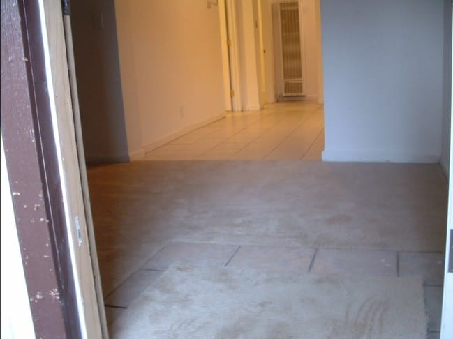 Building Photo - 51 Poinsettia Ave