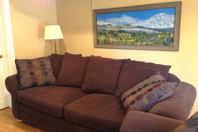 Large, comfortable living room - 1880 Bluebell Ave