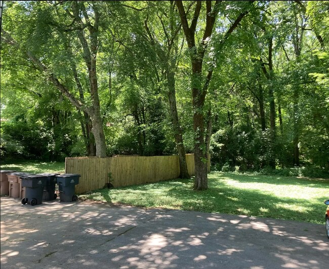 Backyard - 1022 Drummond Dr
