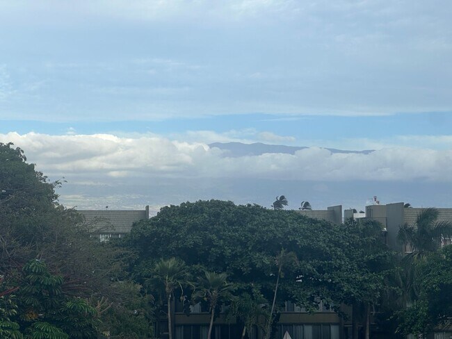 Foto del edificio - Maui Condo