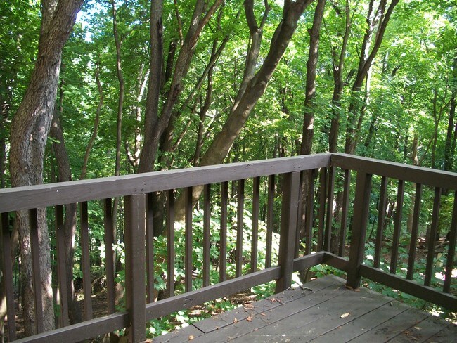 Hermosas vistas de la ladera boscosa. - 206 Chateau Ln