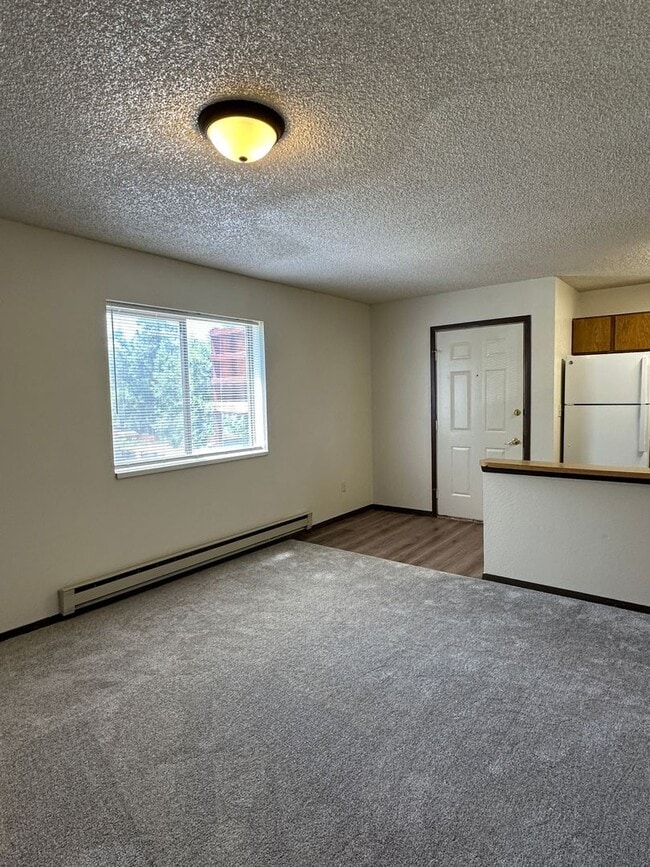 Foto del edificio - Large Studio with One Bathroom Downtown Rifle